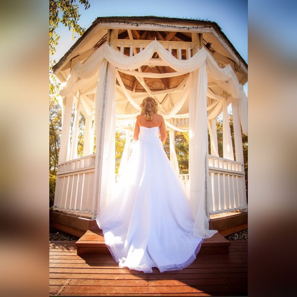 David's bridal wedding dress size 12